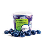 BLUEBERRIES Barquette 125g