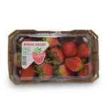 Real Fresh Fraise Barquette